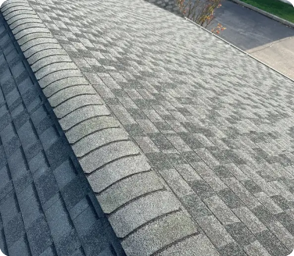 Roof replacement, asphalt shingles, rounded